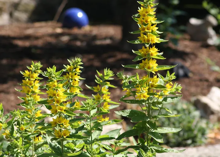 Gasthuis Landgasthaus Alter Posthof 3*